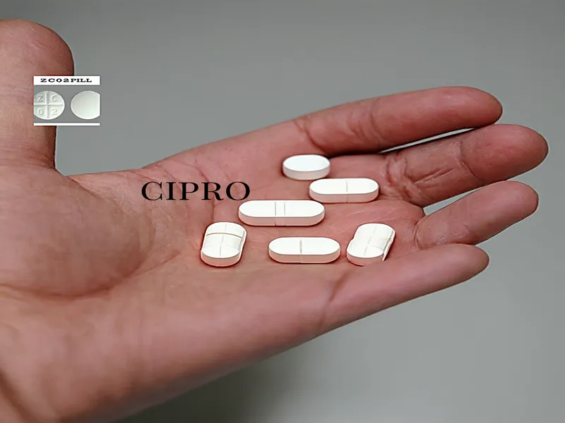 Vendita case roma prati cipro